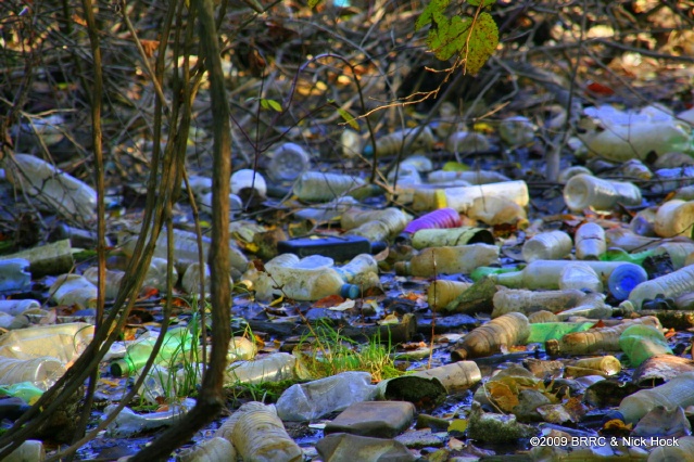 Bottles Litter the Entire Stream
