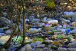 Bottles Litter the Entire Stream